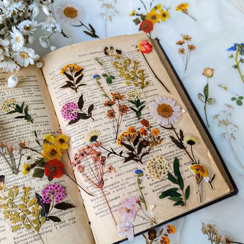 1 pack 40 sheets pet plant floral material decoration stickers