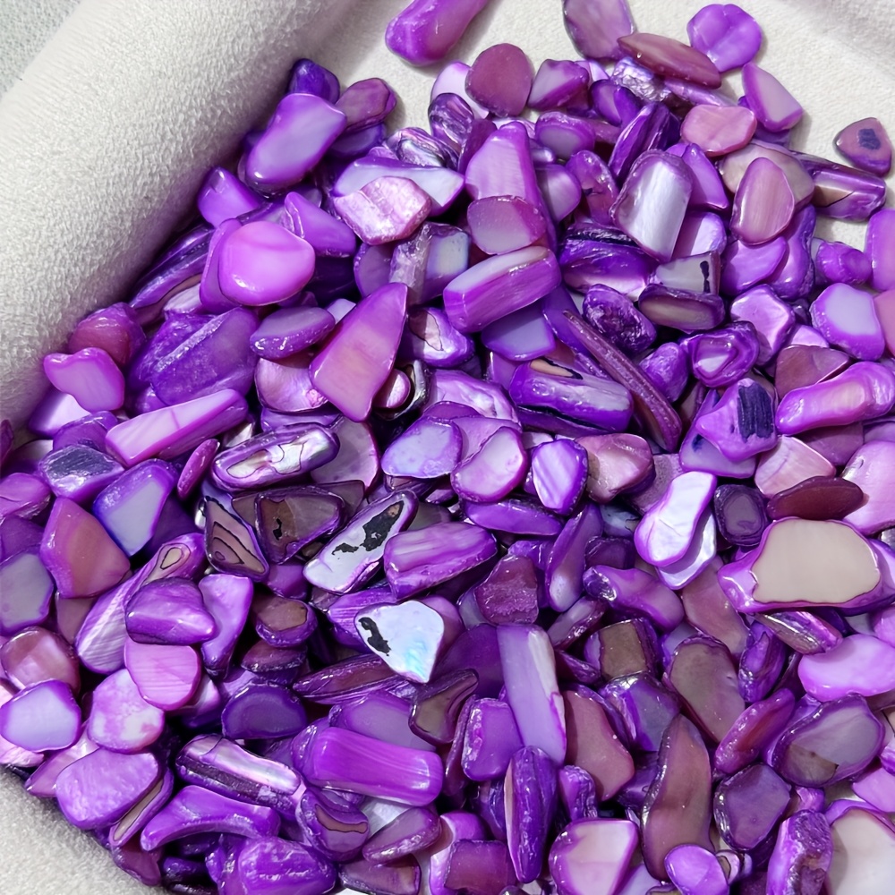 280pcs Natural Abalone Shell Chips for DIY Crafts