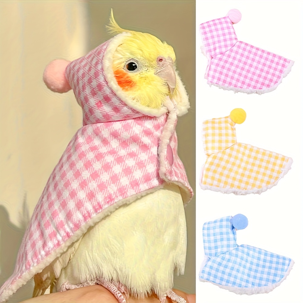 Can Birds Wear Clothes: Surprising Facts and Fun Insights