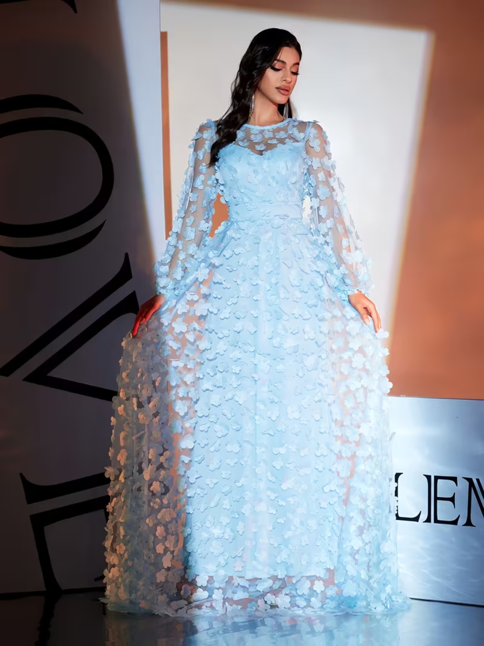 2026 New Arrival: Sky Blue 3D Floral Applique Sheer Long Sleeve Maxi Dress  | Luxury Evening Gown for Weddings & * Crew Neck, Embroidered Pattern,