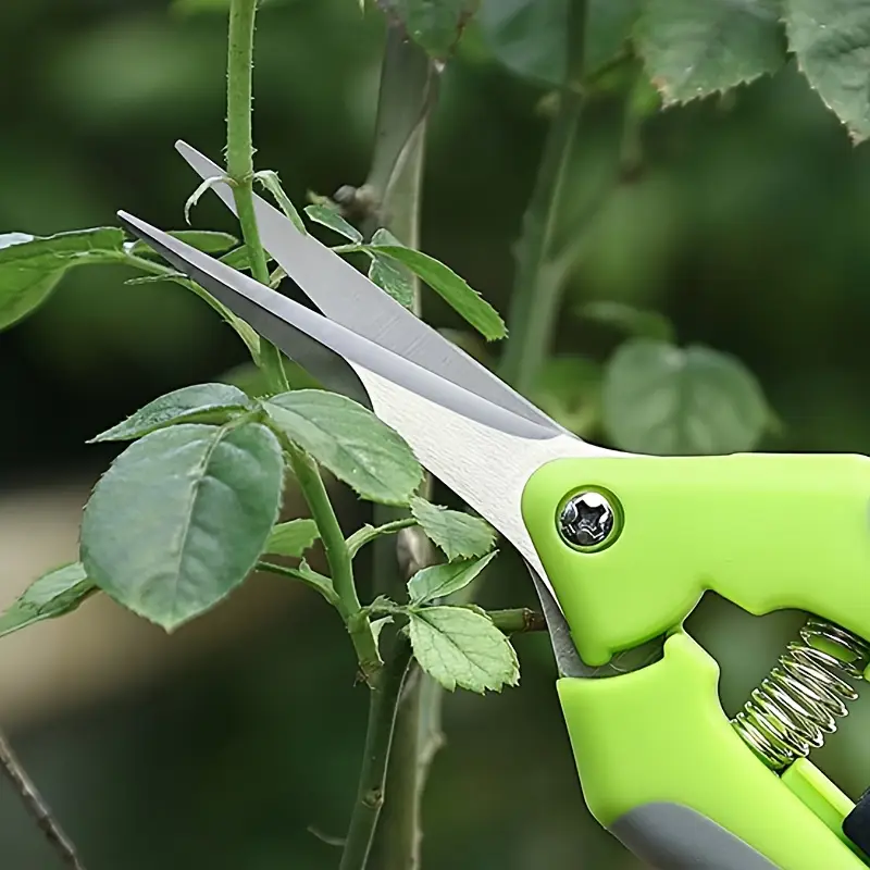 2pcs garden pruning shears ideal for pruning grooming trimming branches and flowers pruning shears for gardening garden clips for plants bonsai fruit picking details 3