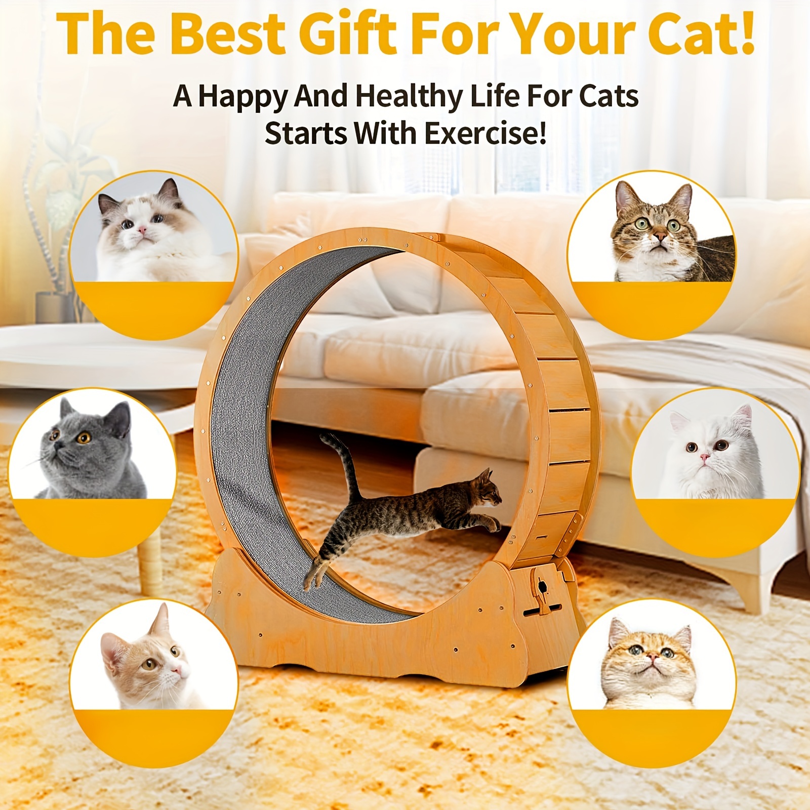 Diy Cat Exercise Wheel Extra Large Wooden Cat Exercise Wheel