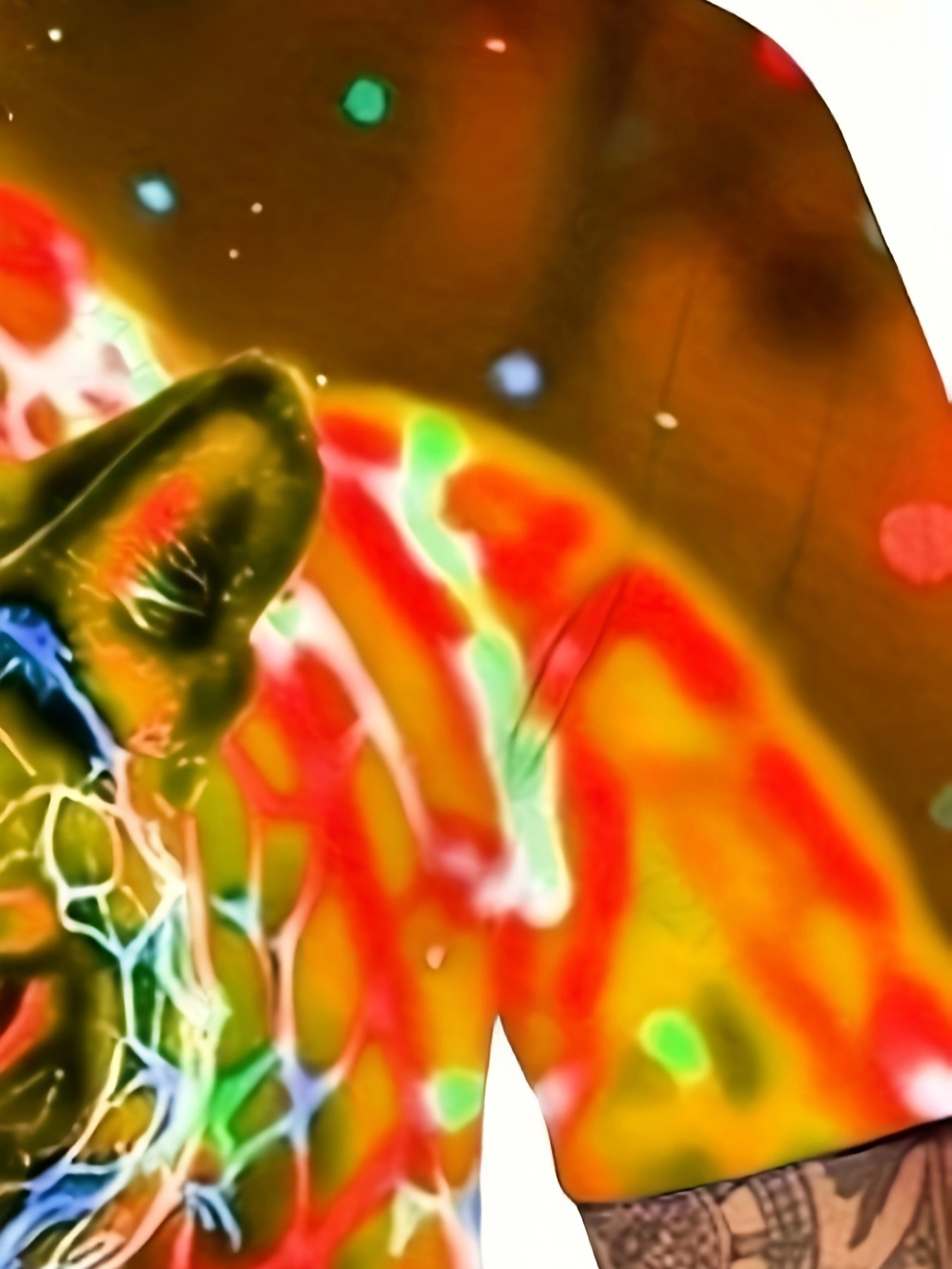 men's streetwear summer t shirt vibrant tiger Temu United Kingdom