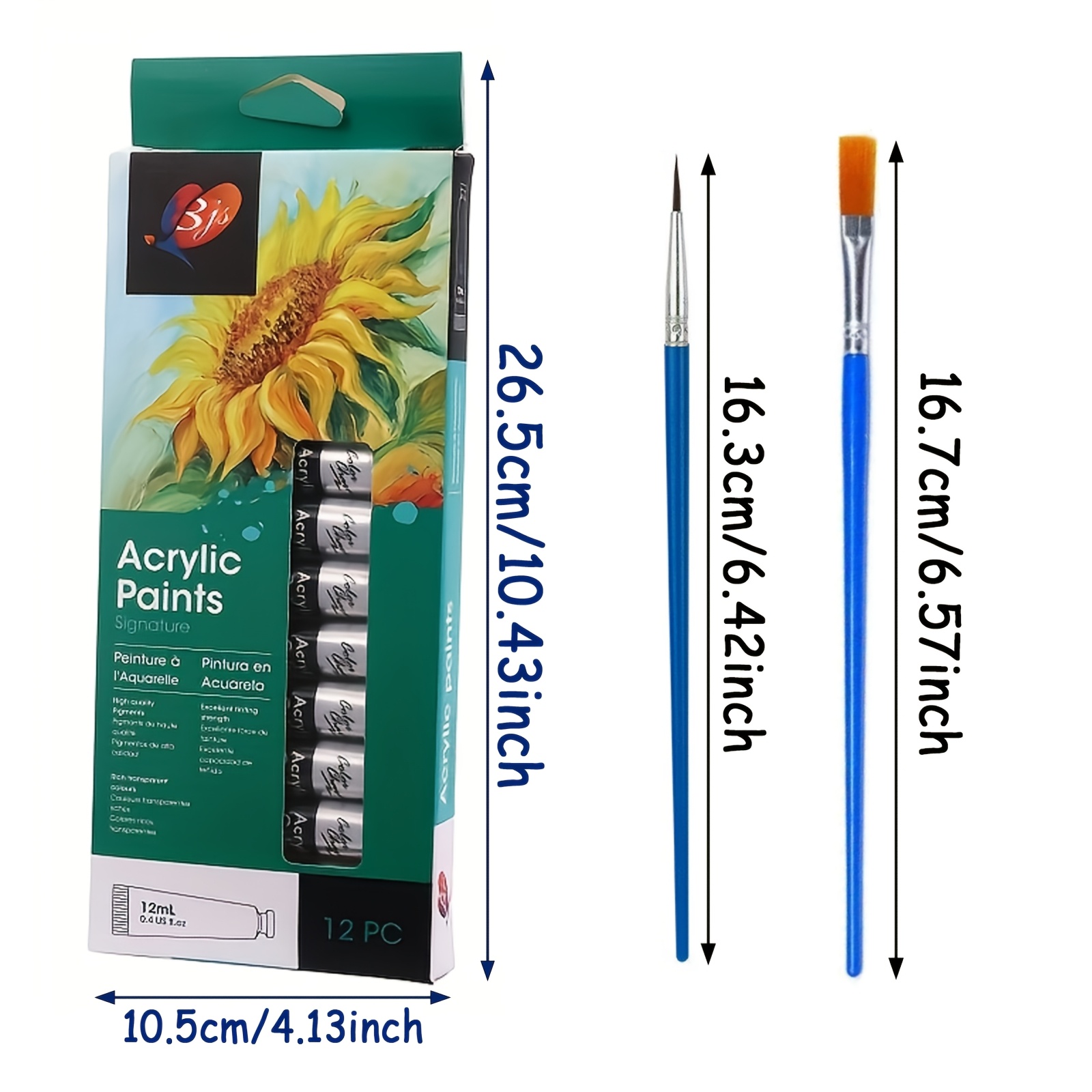 Beginner's Acrylic Paint Set with 12 Colors and 3 Brushes