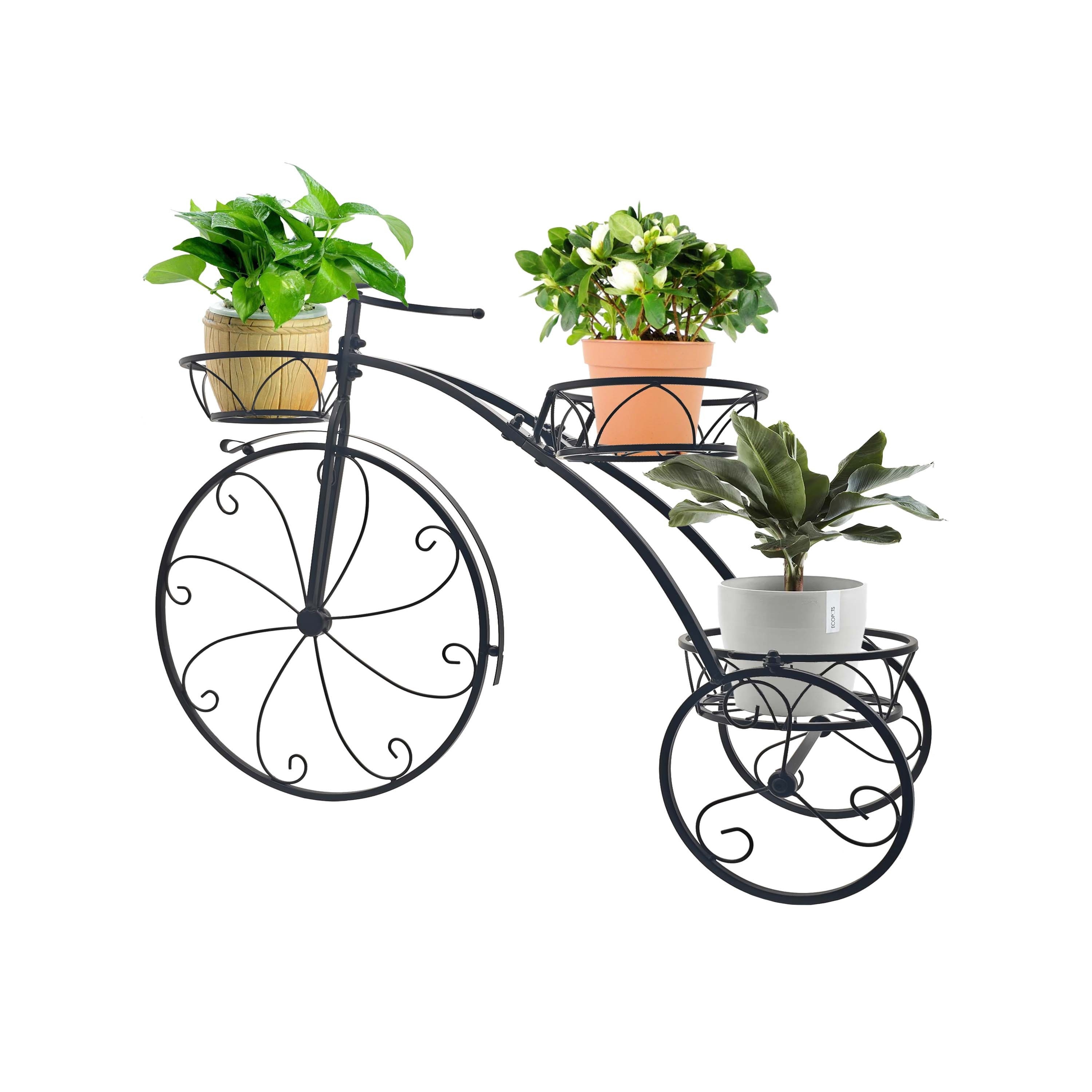 

Parisian Style Tricycle Plant Stand - Ideal Gift For Plant Lovers, Housewarming, Mother's Day - Metal Flower Pot Holder With Kickstand Base