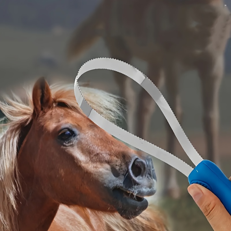 Horse Hair Removal Cleaner Horse Hair Removal Blade Stainless Steel Serrated Shape Horse Hair Shaper Horse Grooming Hair Removal Scraper