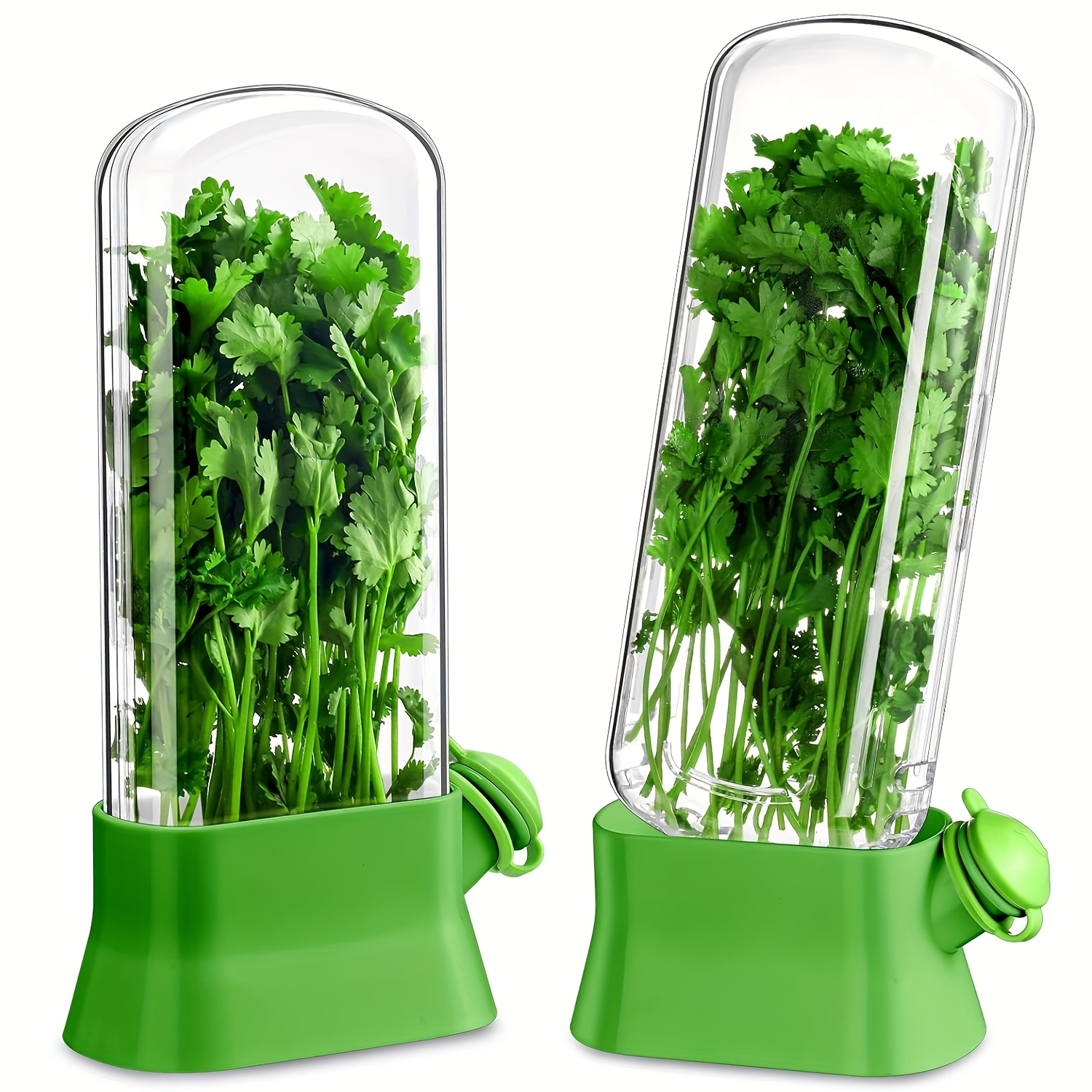 

2pcs Saver - Saver Storage Container Plant Storage Bottle Veggies Fresh , Herbs, And Store , Mint, , And Coriander - Kitchen Essential Container For