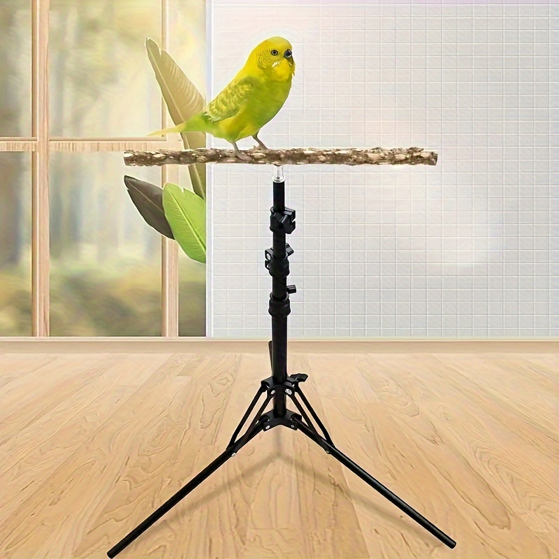 Portable bird stand best sale