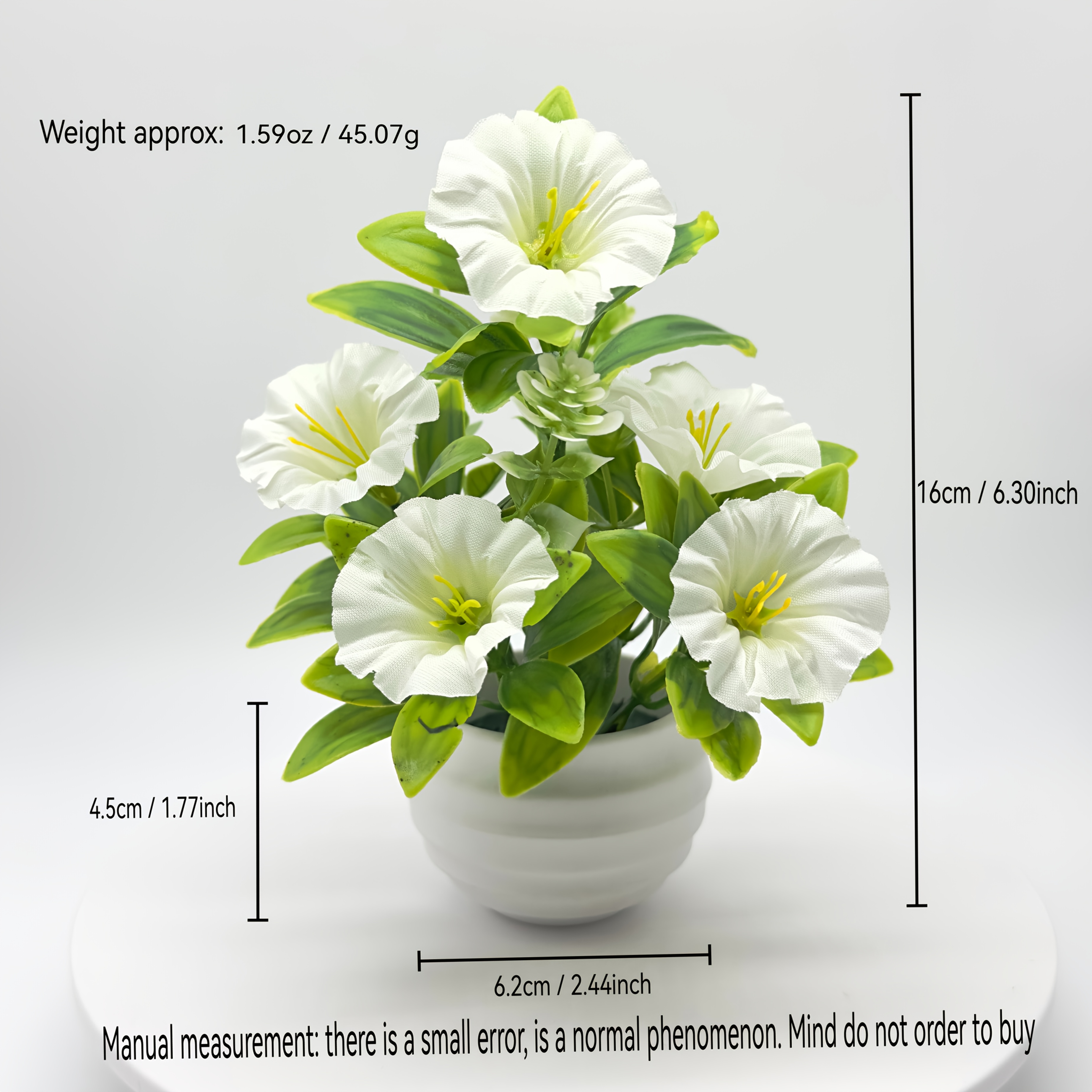 1/6 Set Morning Glory bloemen met pot