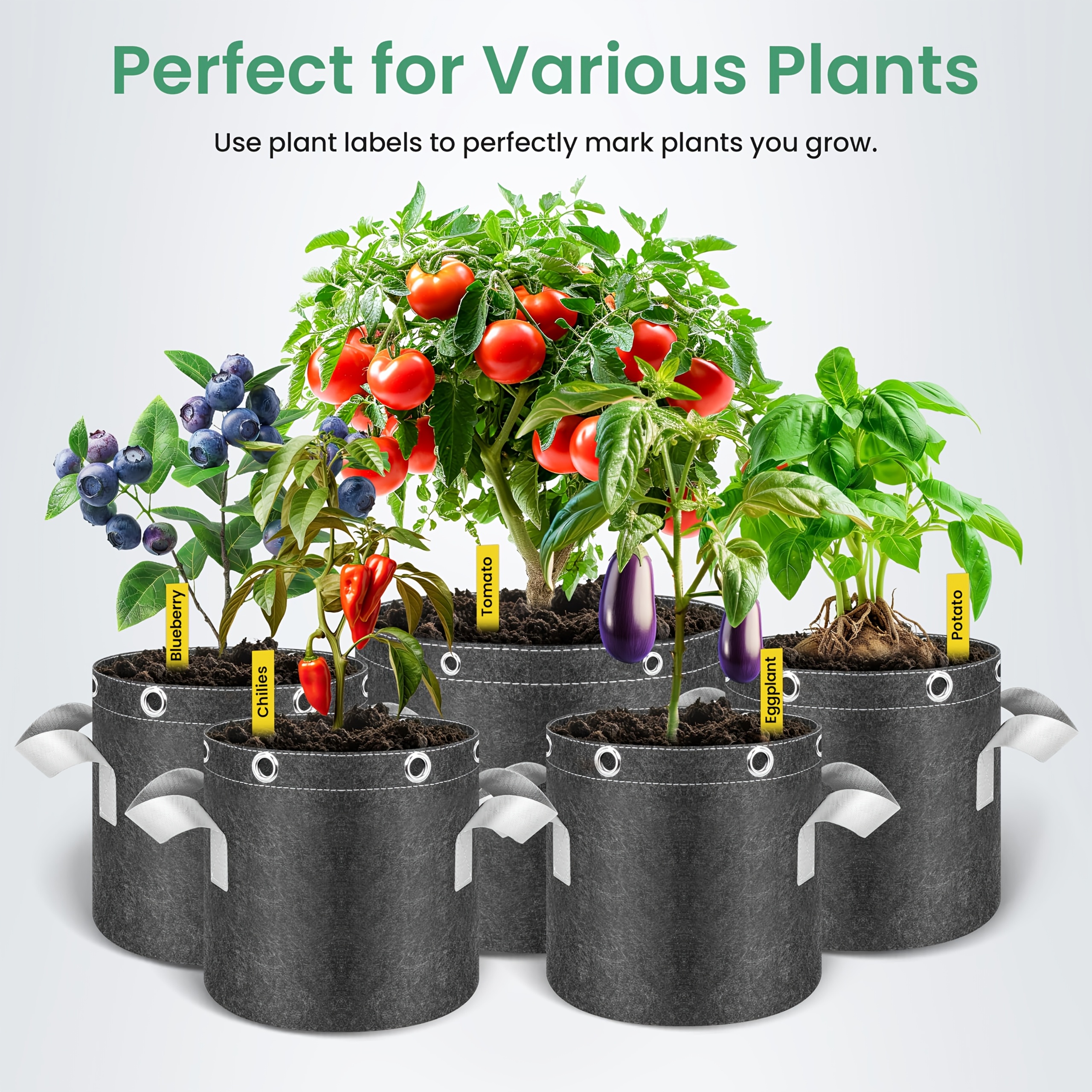 SPIDER FARMER 5-Pack 5 Gallon Grow Bags Heavy Duty Verdikte