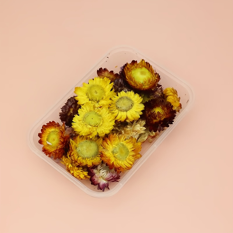 Preserved Flower DIY Kit with 8-10 Flower Types, Photo Frame, Candle, Aromatherapy, Soap, Straw Hat Materials, Gift Set