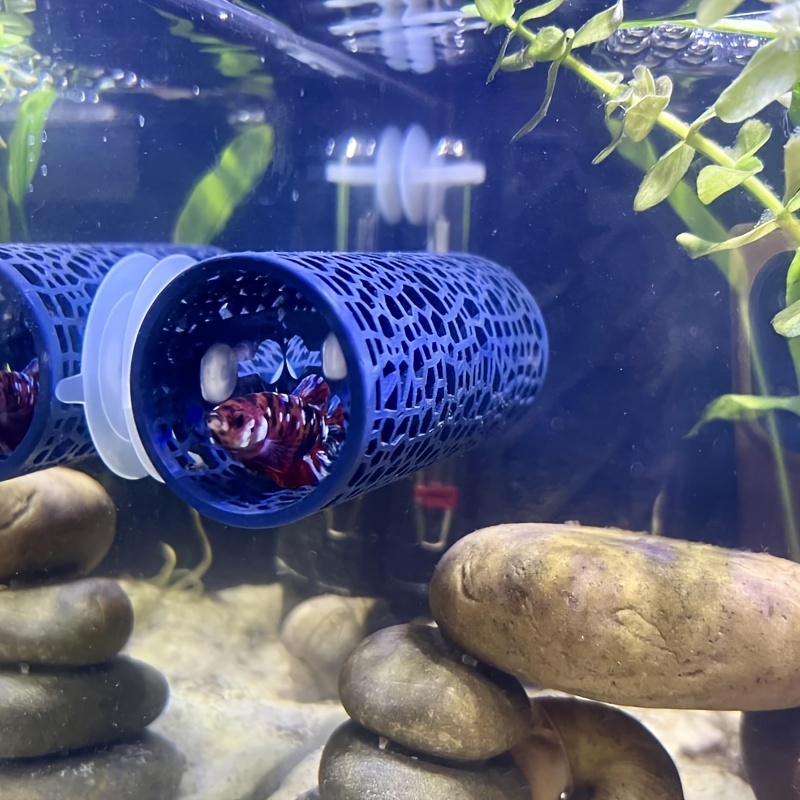 1pc interactive toy betta fish hiding Temu Belgium