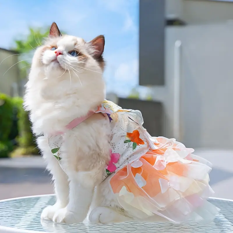 princess cat dress Amazon.com : ShuRung Cat Birthday Princess Costume for Kitten Crown Hat Tutu Skirt Kitten Princess Hat Cat Bandana Halloween Small Pet Outfit for Cats Kittens L : Pet Supplies