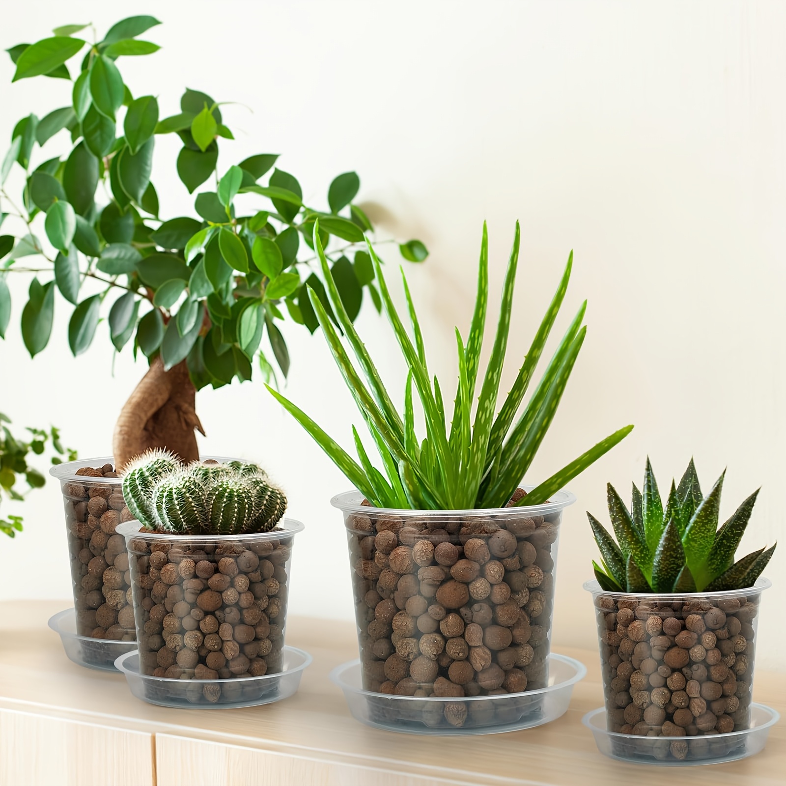 house plants delivered Herb Trio - House Plants Delivery Toronto main image 1