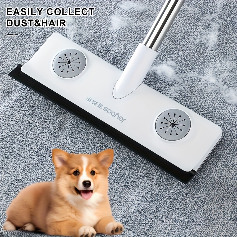 TEMU Carpet Rake Pet Hair Remove