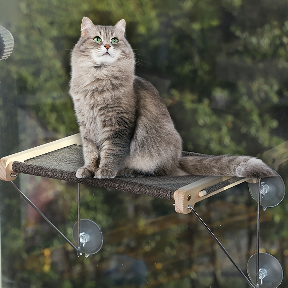 Cat Window Perch Foldable Cat Hammock Window Steel Frame - Temu