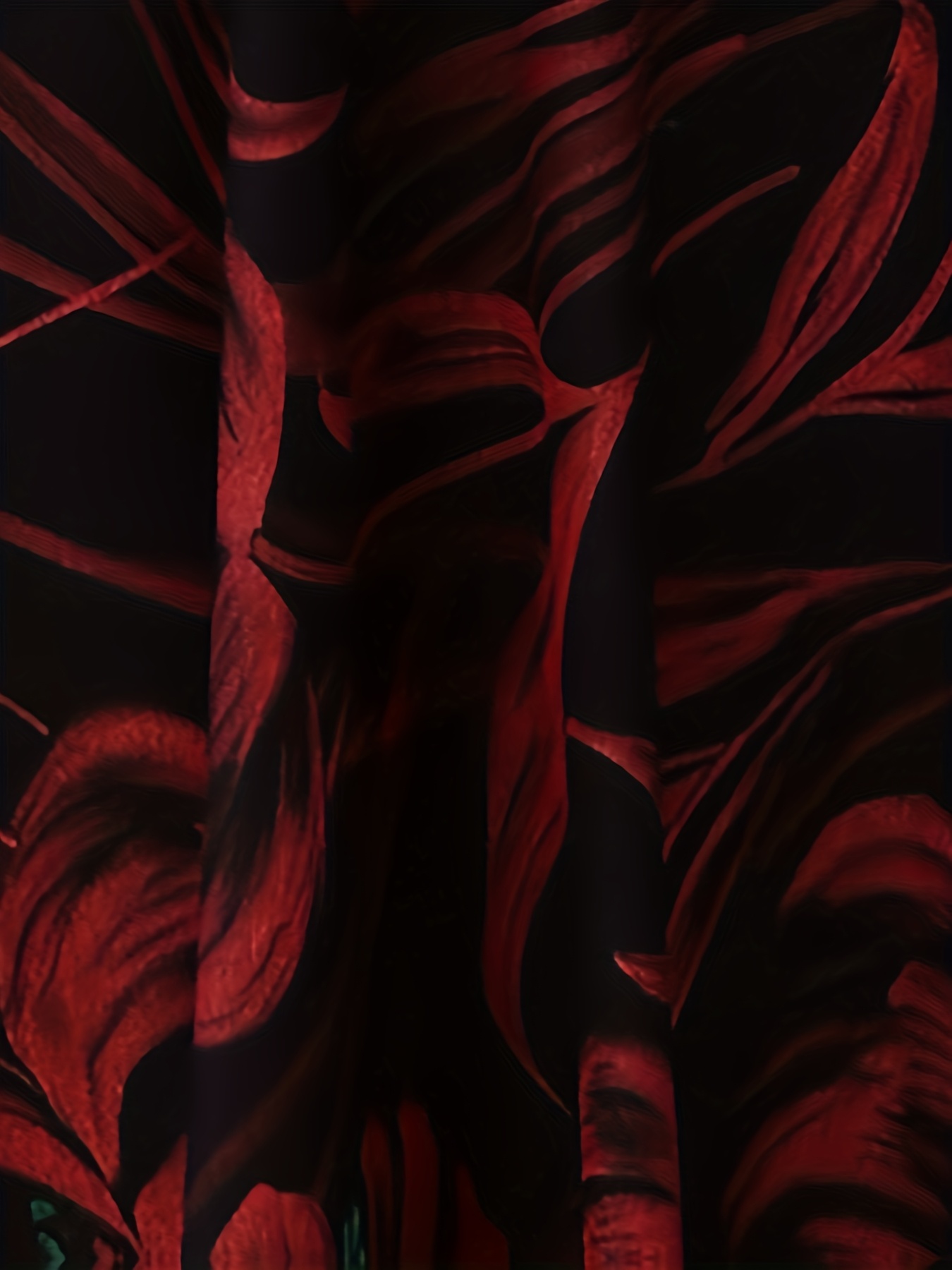 Red floral print maxi dress with ruched waist A line silhouette model wearing dress