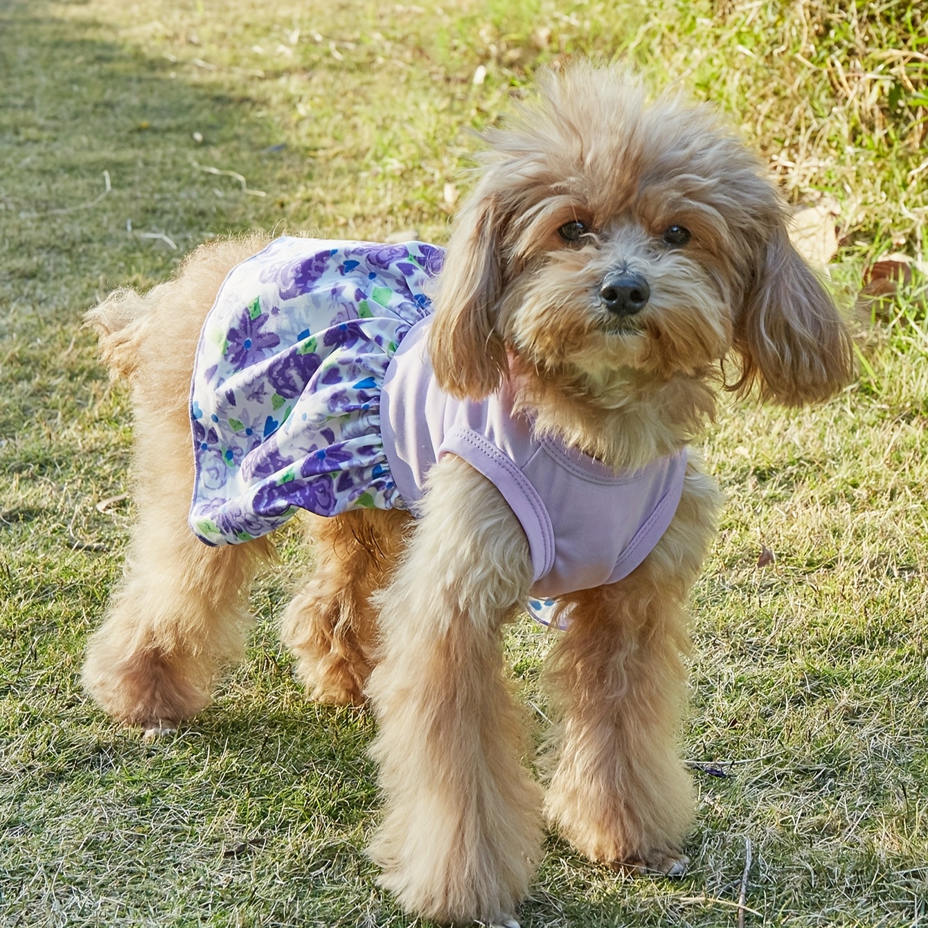 breathable dog outfits suitable spring summer fall - Temu