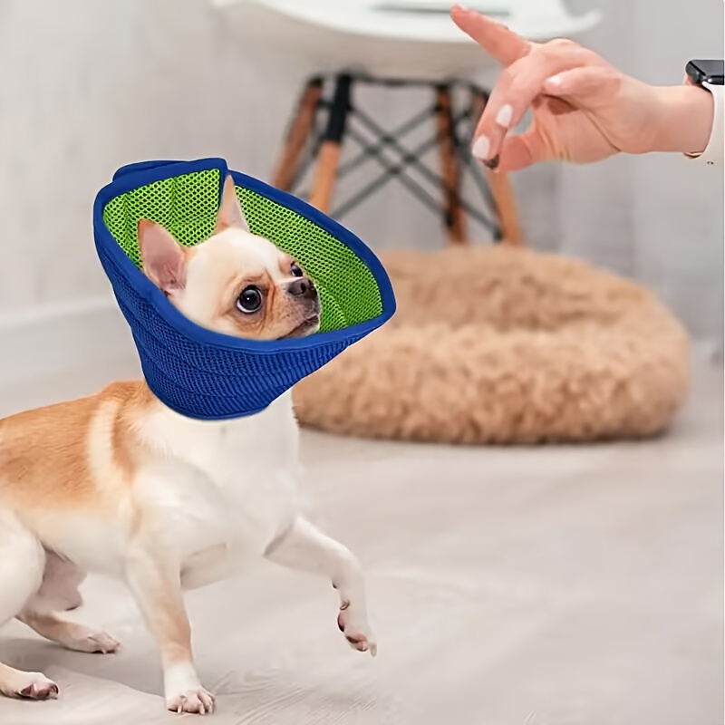 Kmart dog outlet cone