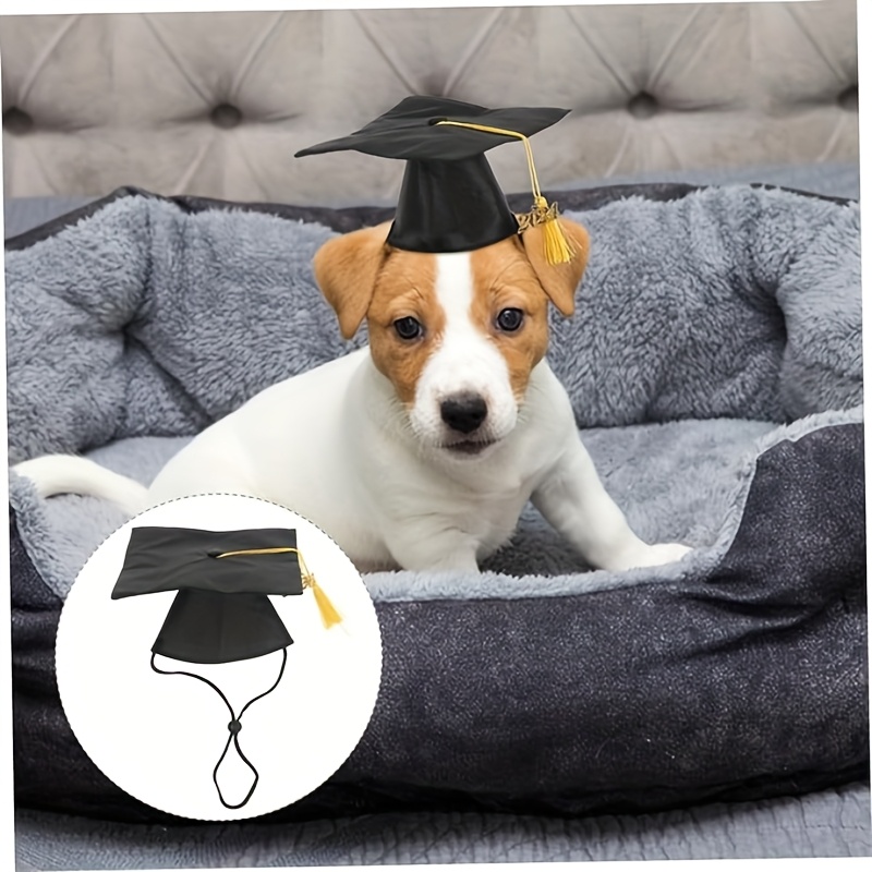 pet graduation cap for dogs black hat with golden tassel fit