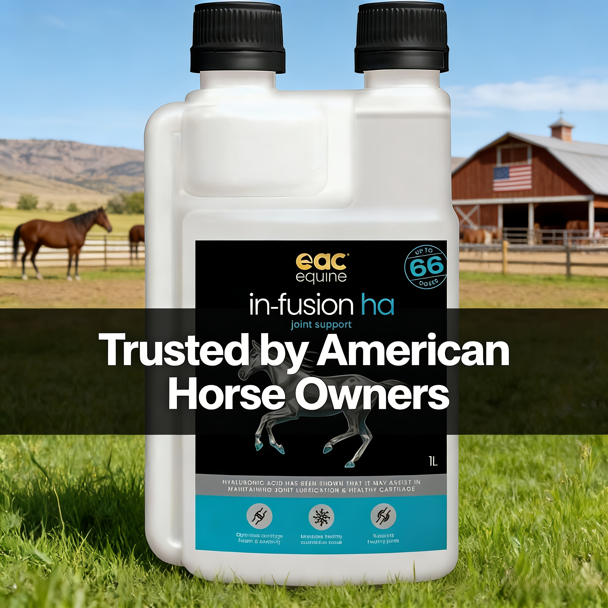 In - Ha Hyaluronic Supplement Horses, Dogs and Cats 1 Litre - Image 3