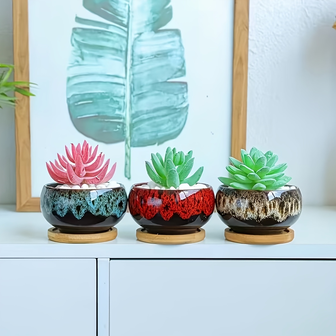 TEMU Kiln- Ceramic Succulent Planter Pots, Set Of 5 With Drainage Holes - Plant Bases Not Included (round). Gardening Gift,home Decor