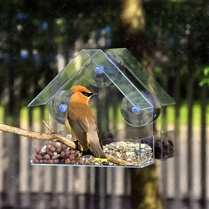 TEMU 1pc Clear Acrylic Bird Feeder With Suction Cups - Durable Pp Material, Indoor/outdoor Hanging Seed Dispenser For Bird Watching
