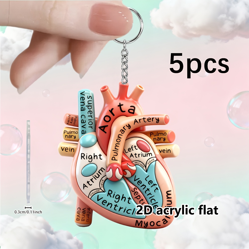 2d Flat - 5pcs, 2d Flat Acrylic Anatomical Heart Keychain, Cute Organ Charm Pendant, Bag And Car Interior Decor, Ideal Birthday Christmas Gift For Her Him