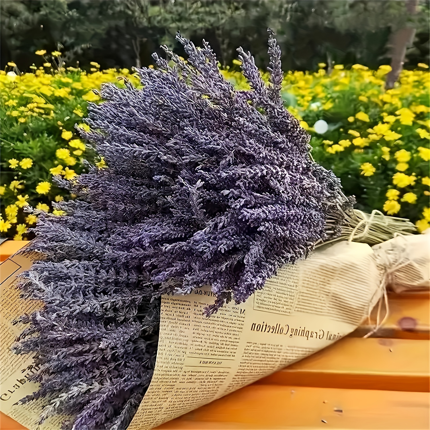 

Dried Lavender Bundles 260 Natural Dried Lavender Flowers For Home Decoration, Photo Props, Home Fragrance, 2 Bundles Pack Christmas Gift