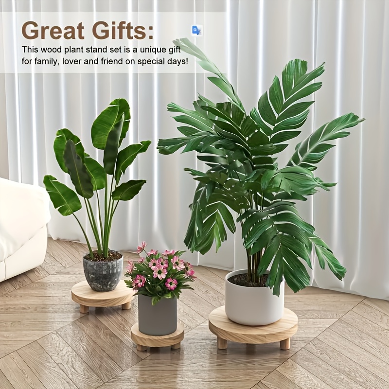 rare indoor house plants Rare Star Bright Dumb Cane: Unique Variegated Plant - Live Indoor Plan   Altman Plants