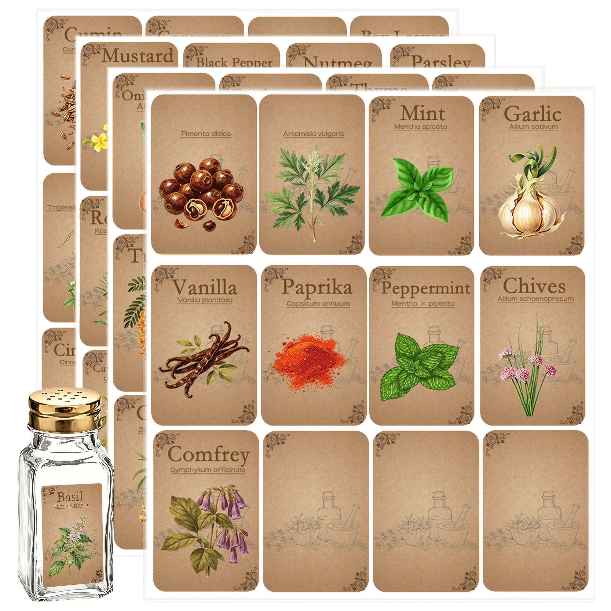 TEMU 48pcs And Spice Labels With Botanical Latin Names, 3.5 X 6cm Vintage Spice Apothecary Labels Stickers, Retro And Seasoning Stickers For Kitchen