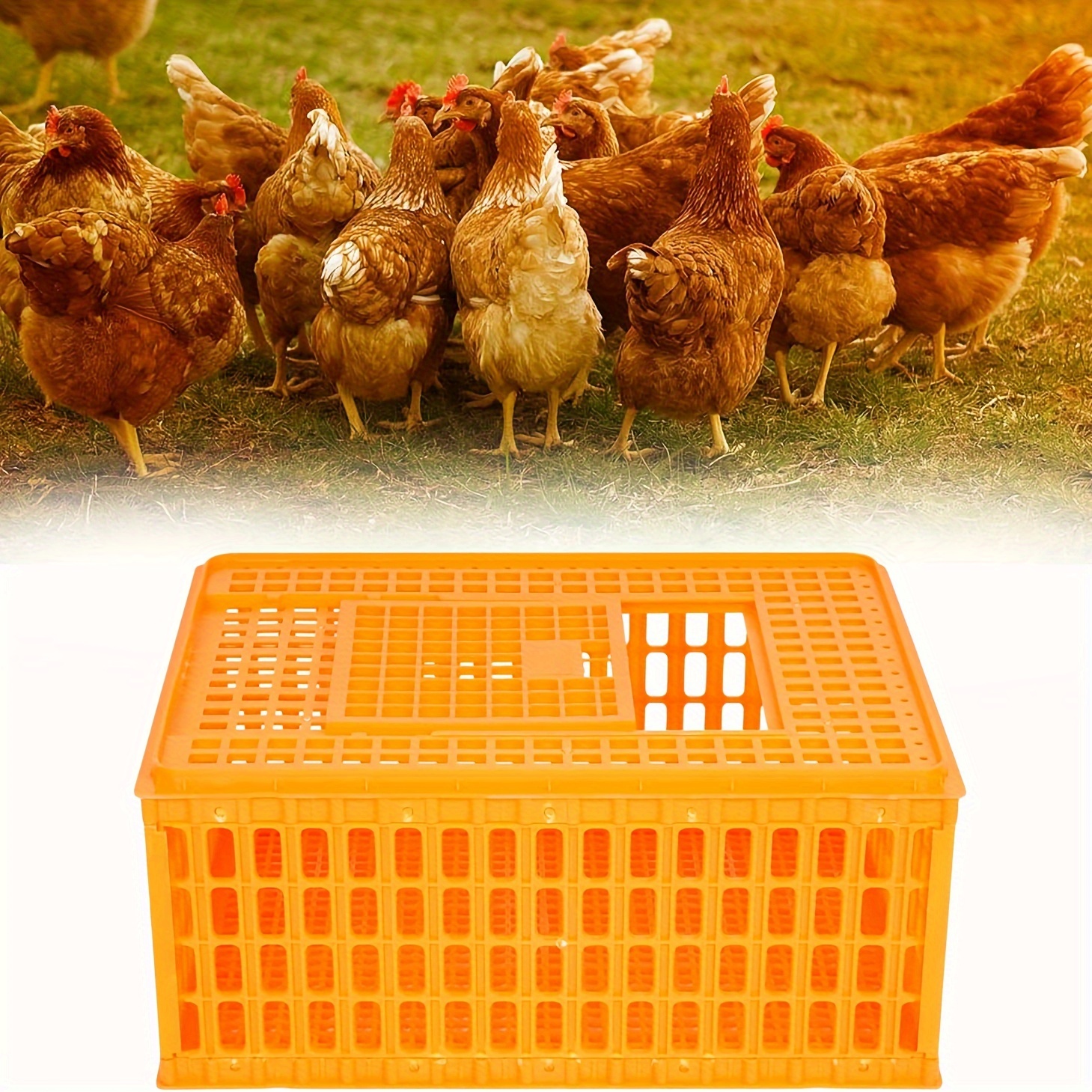 1pc heavy duty plastic poultry transport crate large capacity sturdy and durable top push pull door suitable for adult chicken duck goose details 4