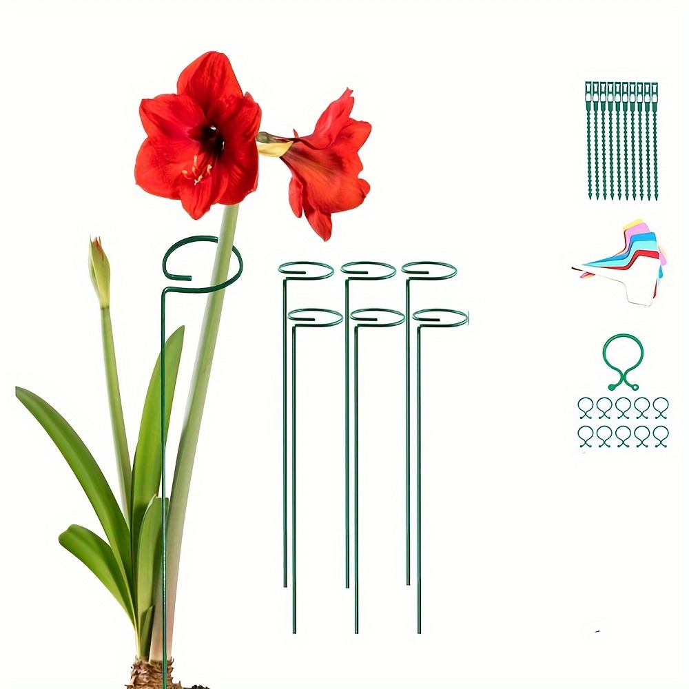 

6 Pack Plant Stake Support, Send-20 Plant Buckles, 6 , 10 Cable Ties Garden Single Stem Support Stake Plant Rings, Single Stem Plant Support Stakes, Stakes For Flowers