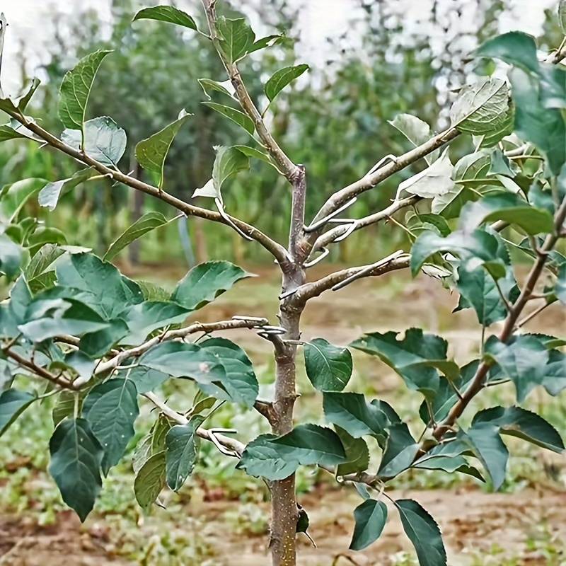 Set 20 Attrezzi Per Modellare Ramoscelli - Ideale Per Bonsai, Giardinaggio E Piante Da Frutto