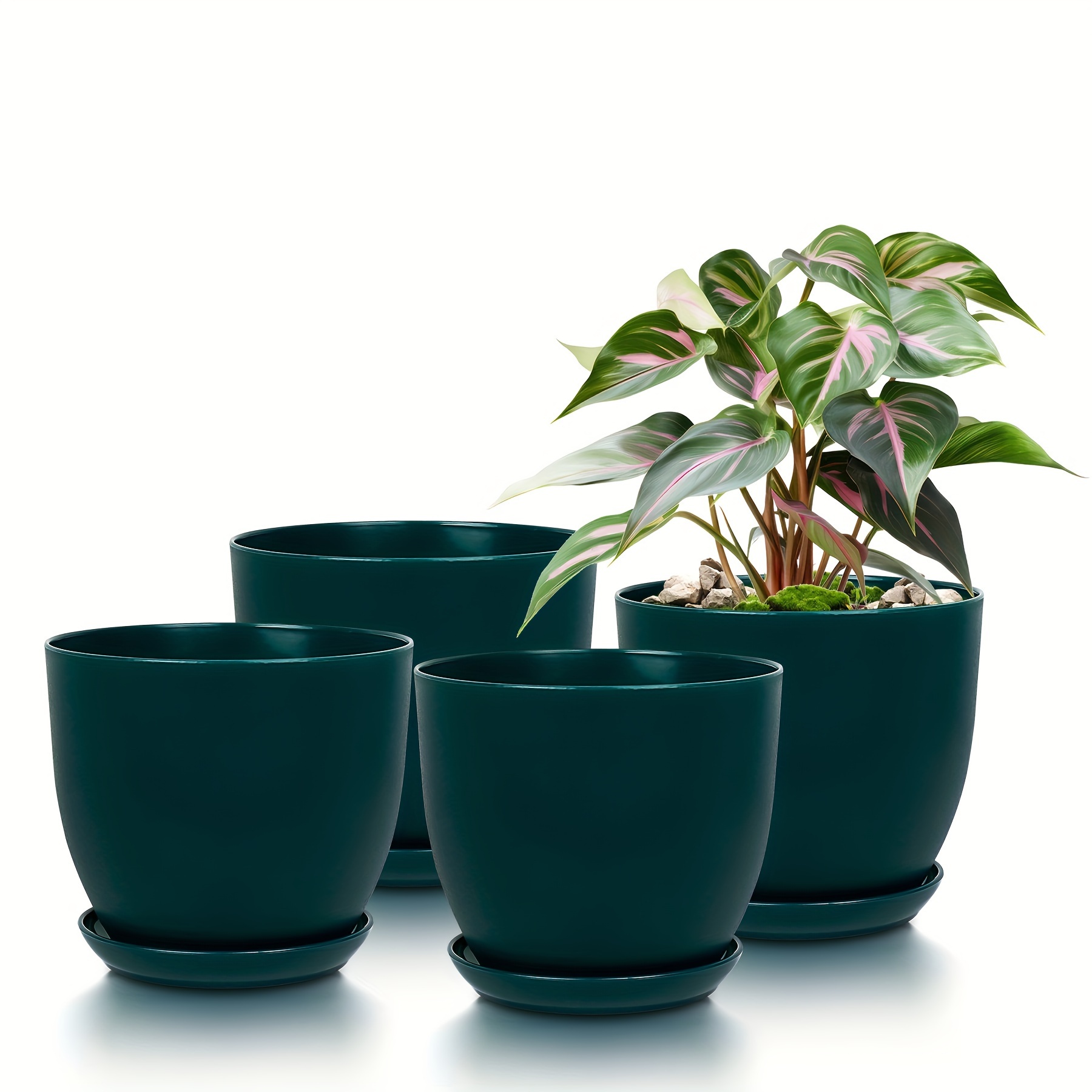 

Pack Of 4 Sizes - Stylish Matte Egg Design Plastic Planters, Plastic Flower Pots With Drainage And Water Trays.6.7in