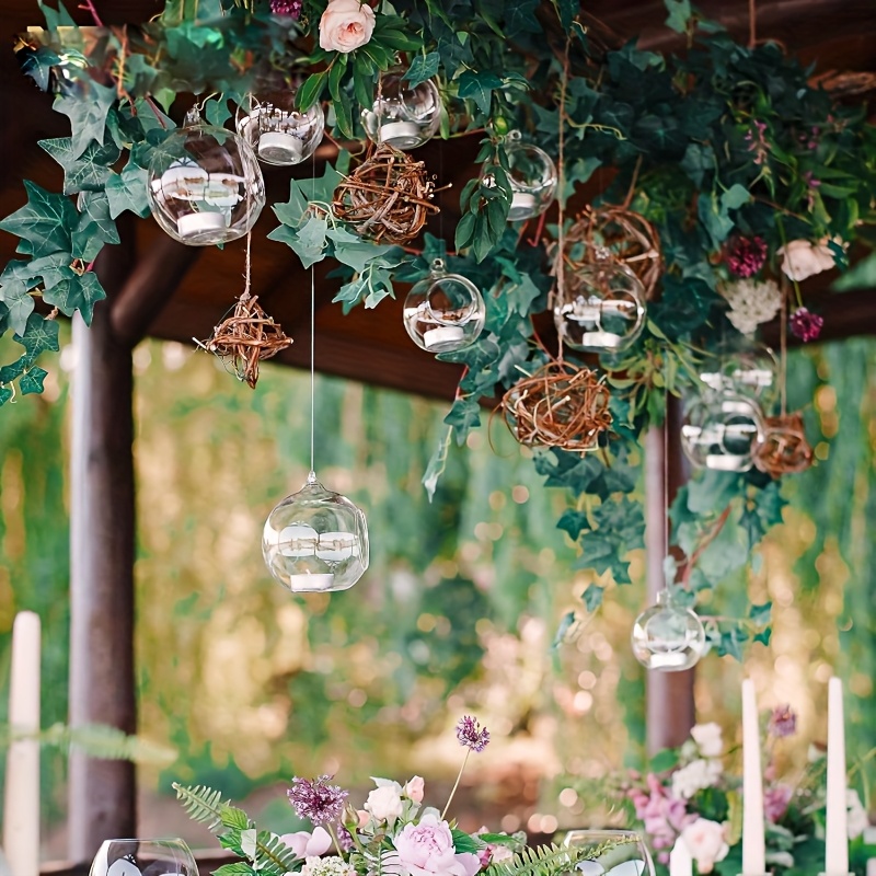 6pcs hanging glass terrarium plants glass hanging terrarium - Temu