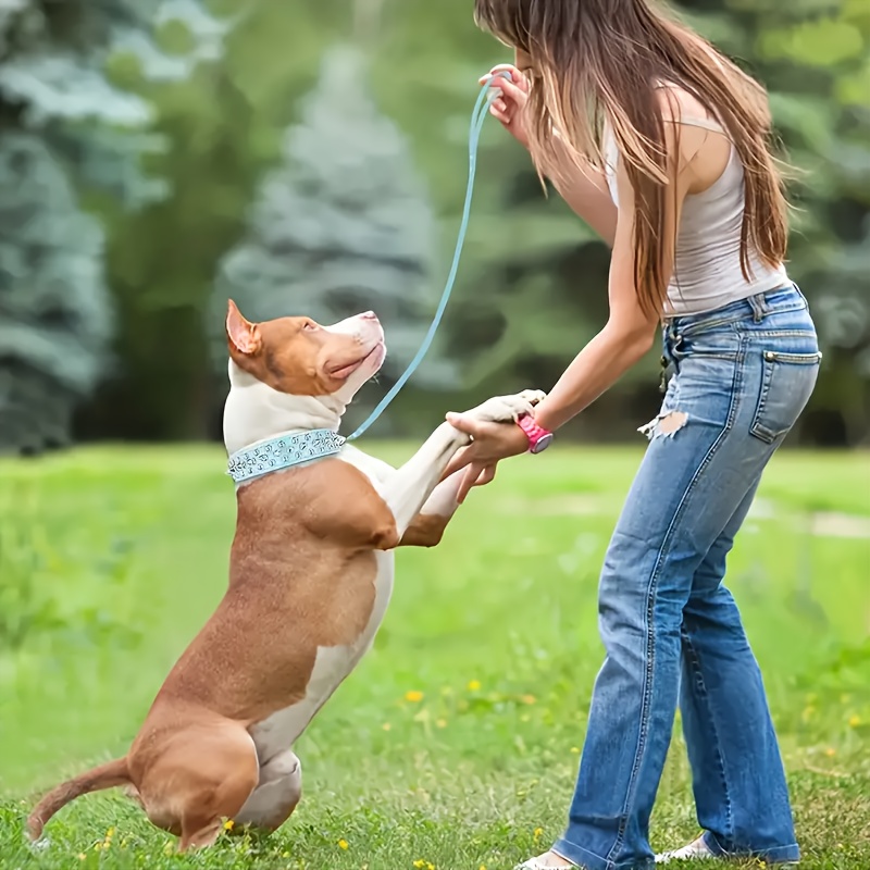 Newtensina Hundehalsband & Leine Set – 2 Halsbänder + 1 Leine, Punk-Design Mit Nieten, Für Kleine Bis Mittlere Hunde