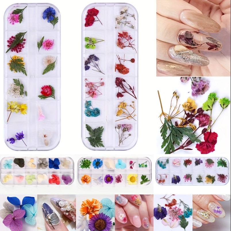 TEMU 60 Grids Dried Flowers Nail Art - Nail Art Accessories Kits, 81 Color Lovely Art, Dried Flowers For Resin Molds, Dry Flowers For Nails