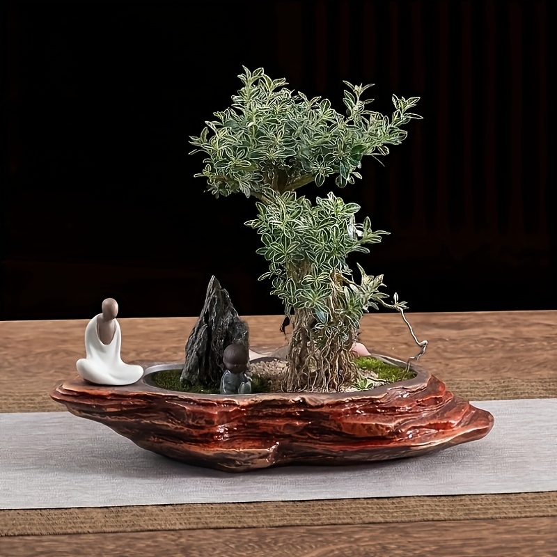 bonsai mammutbaum gestalten Bonsai ziehen, gestalten und pflegen main image 0