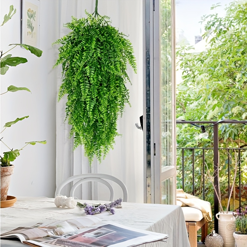 hanging leaf plant Buy String Of Hearts Plant Online: RARE Ceropegia Woodii Succulent 6 inch by Succulents Box