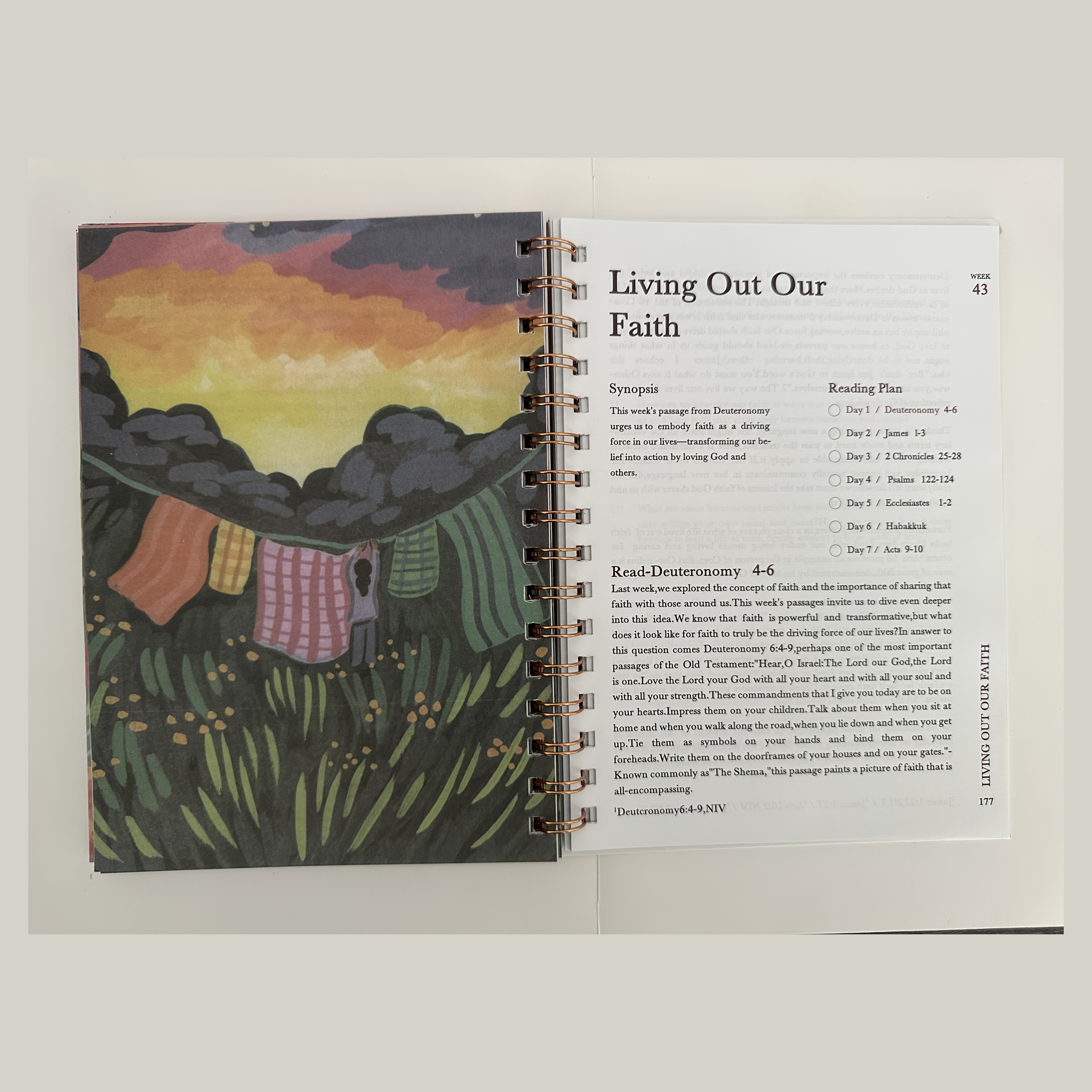 52 week     for women spiral bound   with   inspirational illustrations scripture   portable religious growth journal for spiritual development   study books inspirational cover art durable spiral binding 7