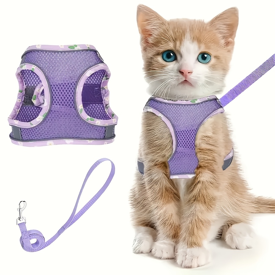 bergan 70128 turbo scratcher cat toy Bergan Pet Products Turbo Scratcher Cat Toy (2 Colors Available)  Playful  Tail