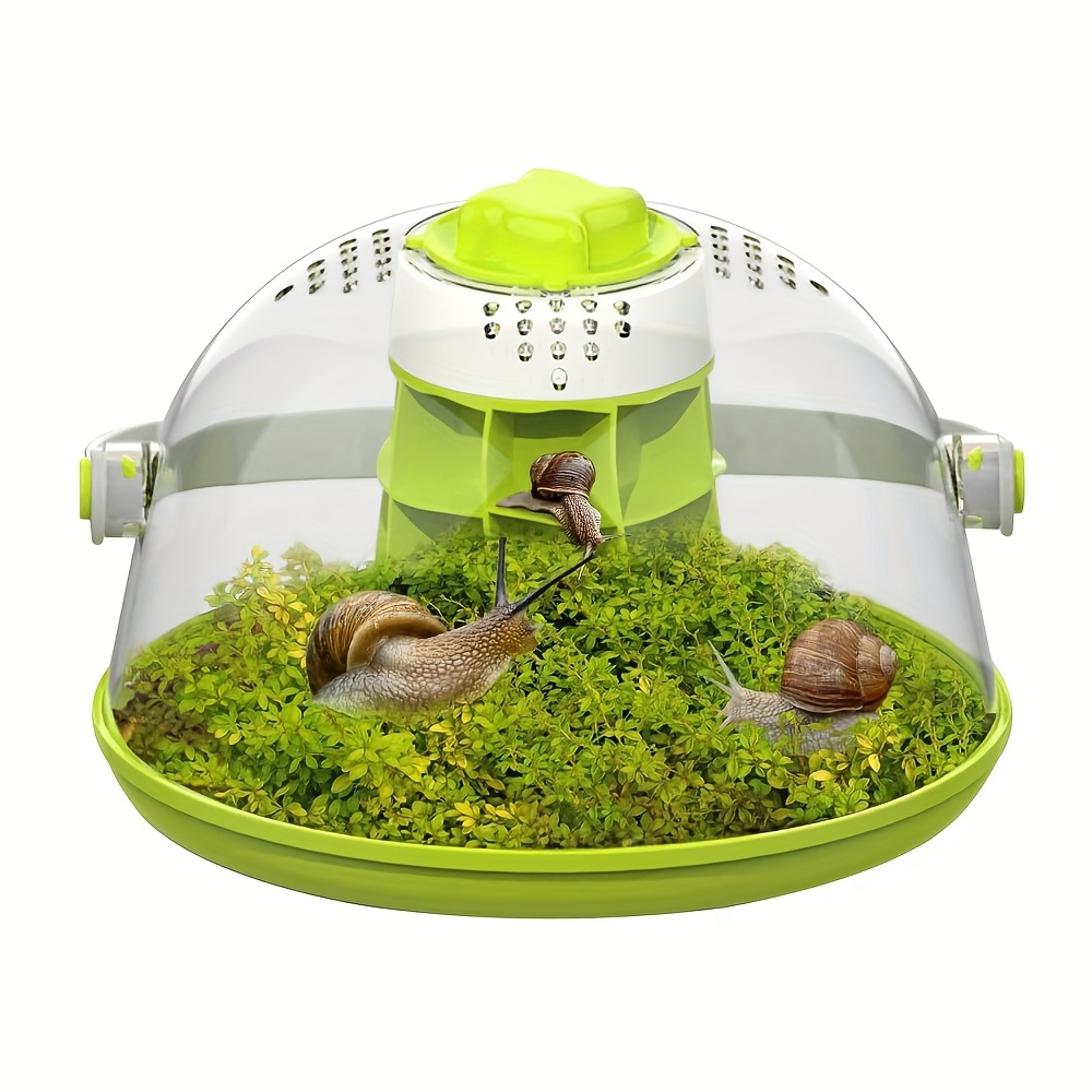 White Jade Snail Breeding Box, Terrarium, Landscape Snail Habitat, Enclosure