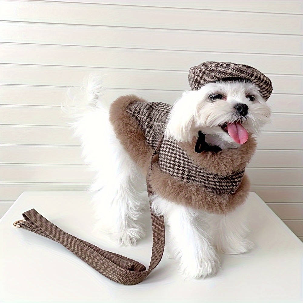 Chic 2024 dog clothes