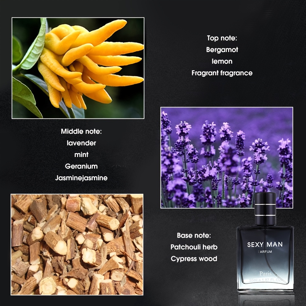 1pc sexy man paris eau de parfum men 55ml scent top Temu United