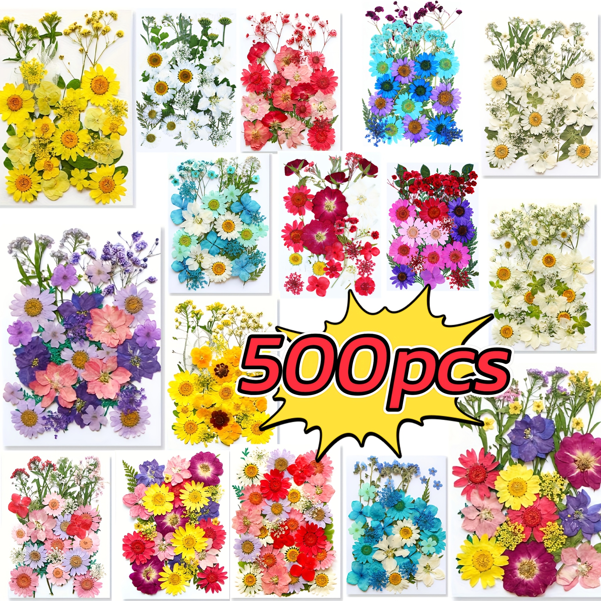 TEMU 500pcs Dried Flower Embossed Dried Flower Bouquet Diy Handmade Photo Frame Bookmark Facial Decoration Dried Flower Phone Case Coaster Pendant