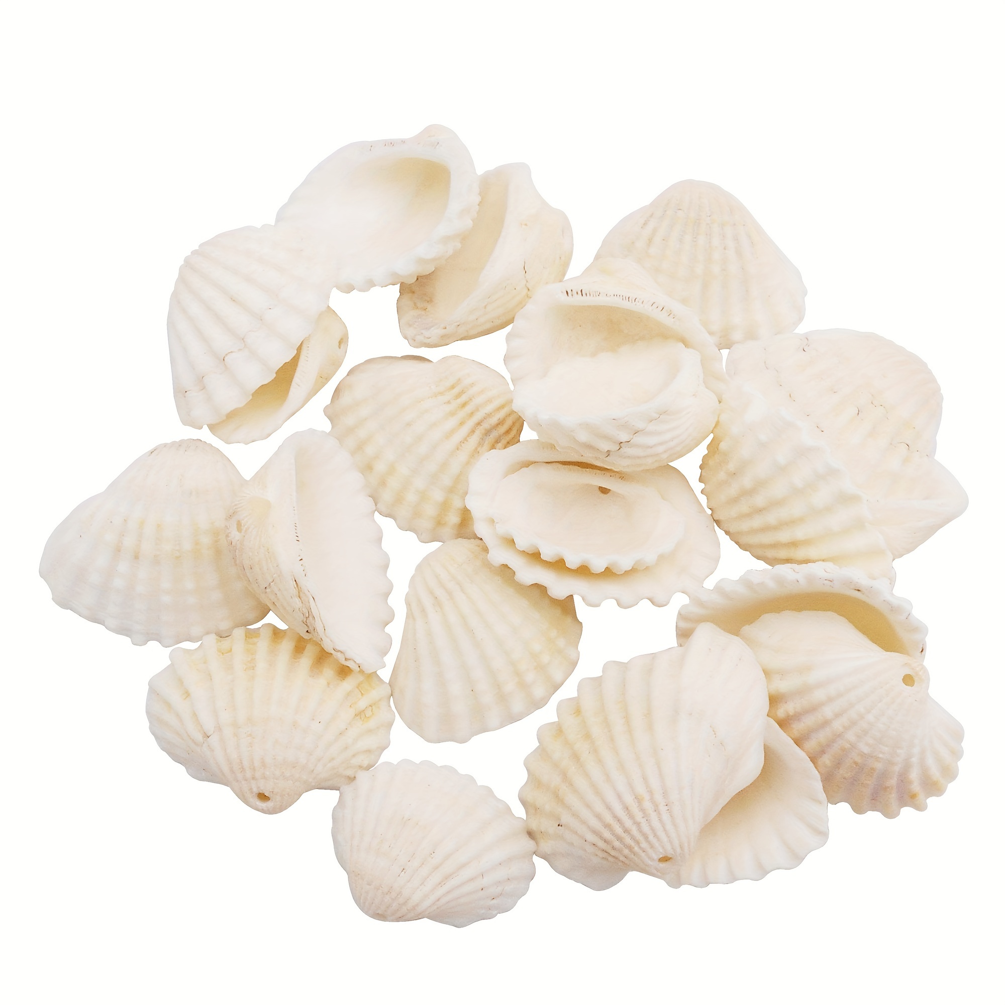 

40pcs Natural Conch Shell Beads Drilled Tiny Scallop Seashells Ocean Beach Seashells Craft Charms For Jewelry Making Candle Diy Home Decoration Party Wedding Decor