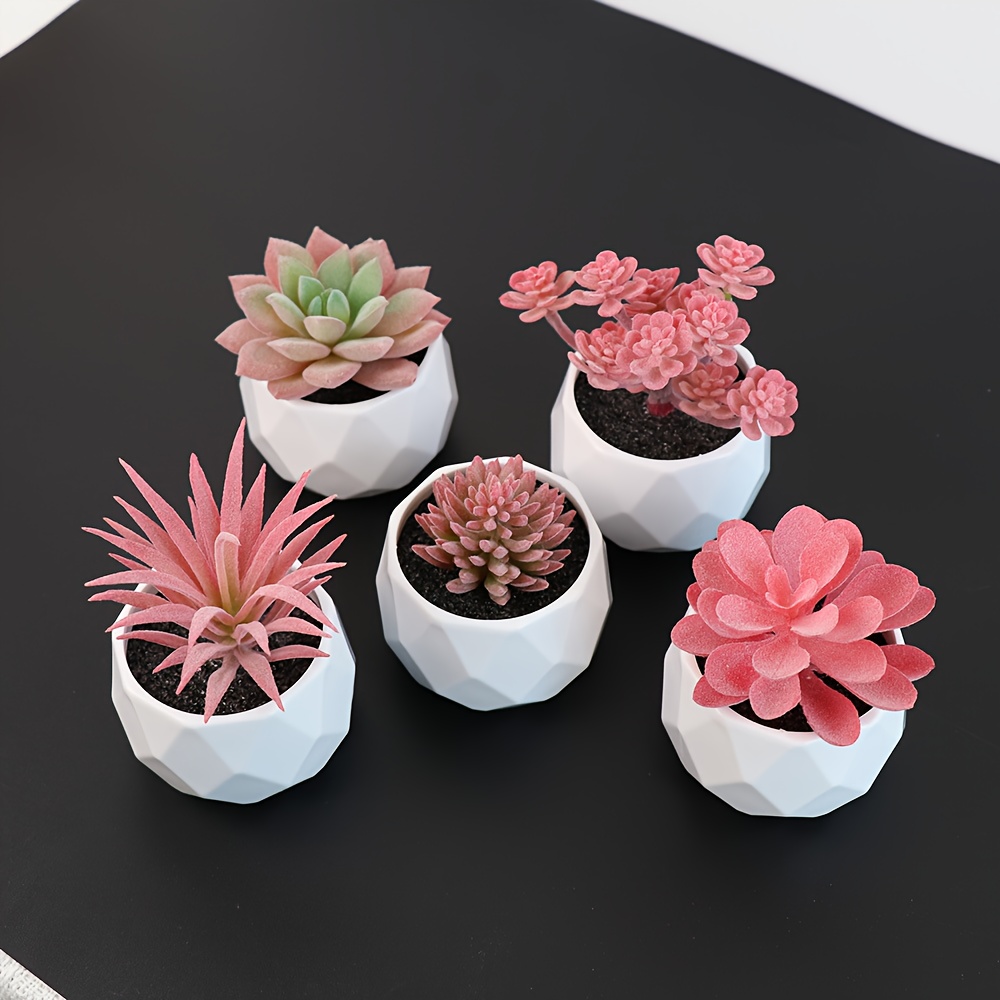 succulent bathroom decor sold on Temu Australia