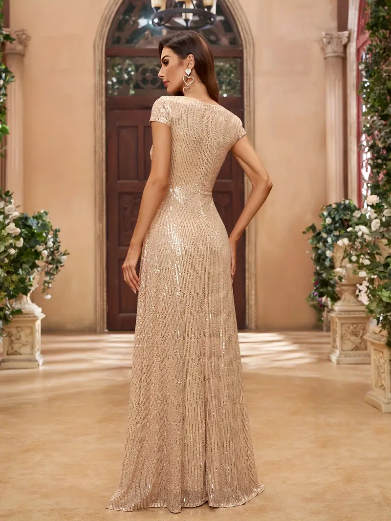 maxi dress for concert Princess Seam Concert Dress | Concert Attire