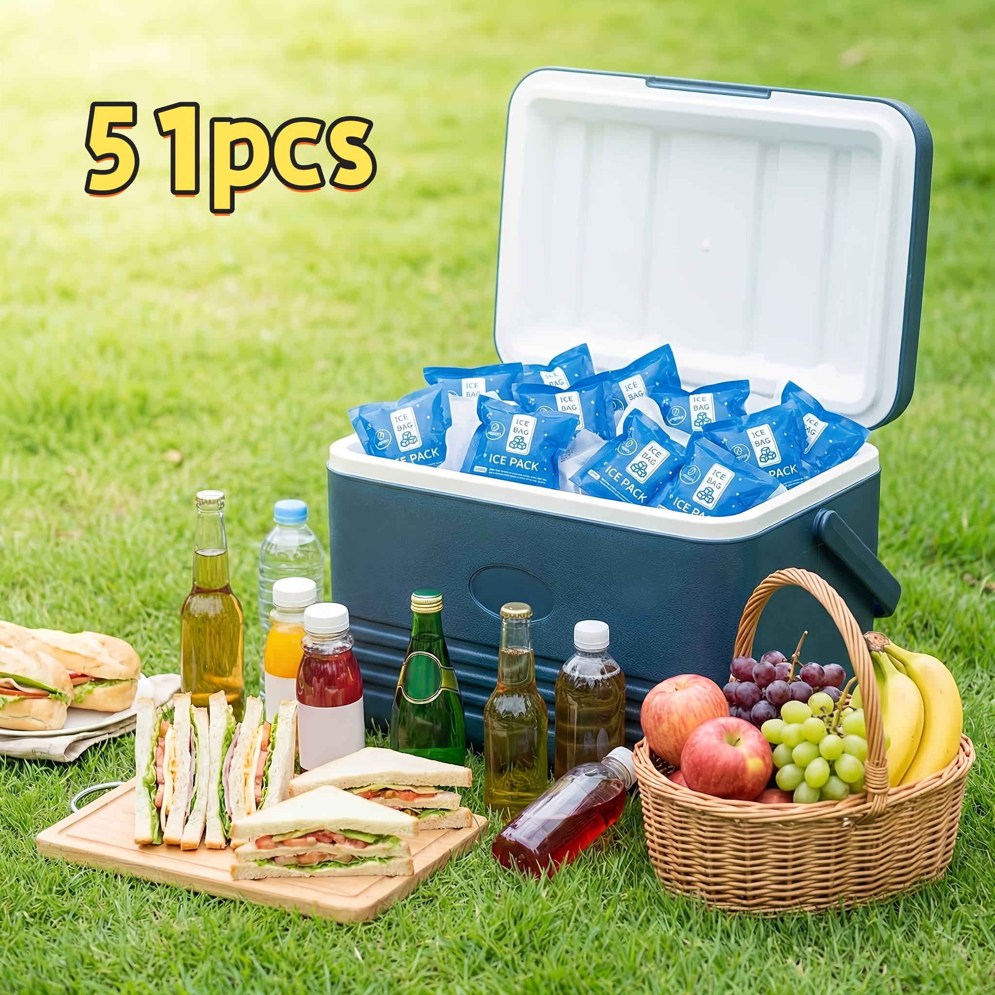 51pcs Mini Ice Packs